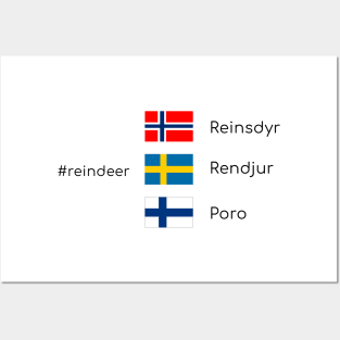 Reindeer in Scandinavia Posters and Art